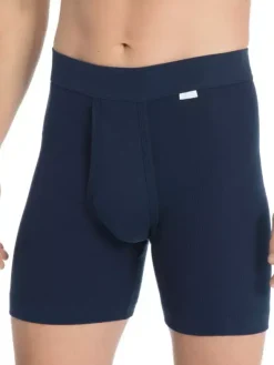 Boxer - Cotton 1:1