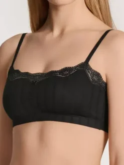 Bustier - Etude Toujours