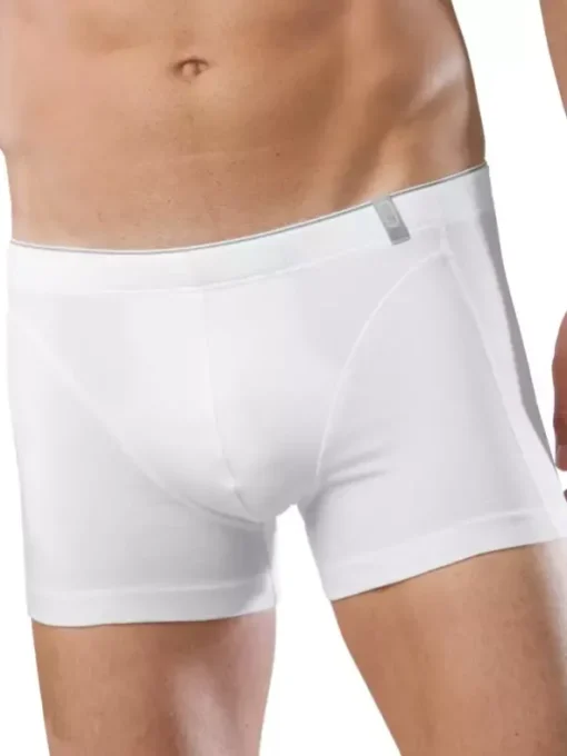 Pant - Cotton 95/5