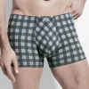Panty Andy - Flash Basic