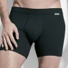 Panty Filius - Flash Basic