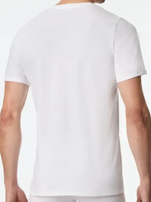 Shirt - Premium Cotton