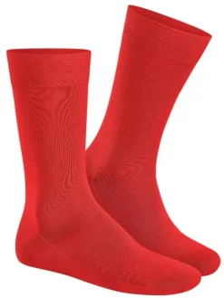 Socke - Clark