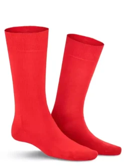 Socke - Richard