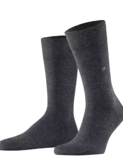 Socken - Basic Gift Box 2er Pack